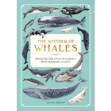 Wellfleet Press The Wonder of Whales | Melissa Hobson idegen nyelvű könyv
