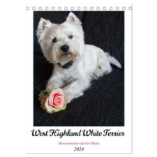  West Highland White Terrier - Herzensbrecher auf vier Pfoten (Tischkalender 2024 DIN A5 hoch), CALVENDO Monatskalender – Angela Rohde naptár, kalendárium