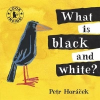  What Is Black and White? – Petr Horacek