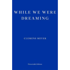  While We Were Dreaming – Katy Derbyshire idegen nyelvű könyv