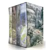WILLIAM MORROW BX-HOBBIT &amp; LORD OF THE RINGS ILLUS | TOLKIEN JRR