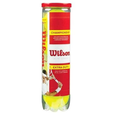 Wilson Championship Extra Duty 4Tball tenisz felszerelés