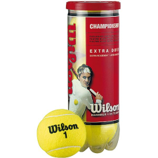 Wilson CHAMPIONSHIP XD TBALL 3 BALL CAN tenisz felszerelés