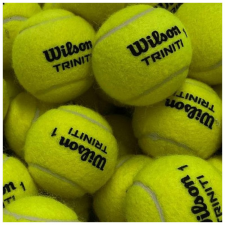 Wilson Trinity Club teniszlabda tenisz felszerelés