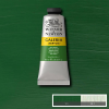 Winsor&Newton Galeria akrilfesték, 60 ml - 599, sap green