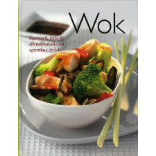  Wok gasztronómia