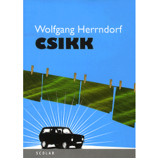 Wolfgang Herrndorf - Csikk egyéb könyv