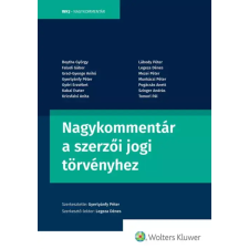 Wolters Kluwer Nagykommentár a szerzői jogi törvényhez egyéb e-könyv