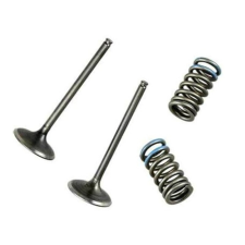 WOSSNER WÖSSNER Szívószelep Acél - Kawasaki KX450F egyéb motorkerékpár alkatrész