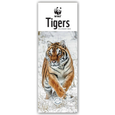  WWF Tigers - Tiger 2024 - Slimline-Kalender naptár, kalendárium