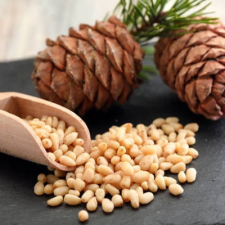 XXL Bio Fenyőmag 1 kg XXL reform élelmiszer