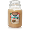  YANKEE CANDLE Coconut Island 623g (192833159861)