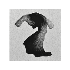  Yeasayer - Fragrant World (CD) alternatív