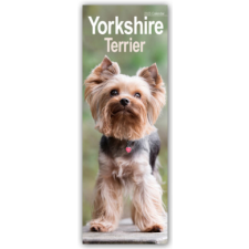 Yorkshire Terrier - Yorkies 2025 naptár, kalendárium