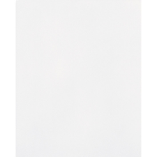 Zalakerámia ZBK 702 Carneval csempe matt fehér 20x25cm Ms. 1,5m2/doboz csempe