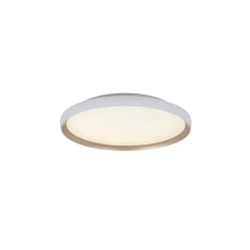 ZAMBELIS fehér LED mennyezeti lámpa (ZAM-25185) LED 1 izzós IP20 világítás