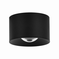 ZAMBELIS fekete LED kültéri mennyezeti spotlámpa (ZAM-S133) LED 1 izzós IP54 kültéri világítás