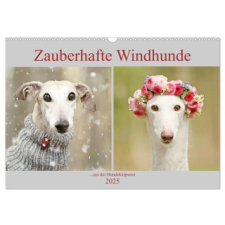 Zauberhafte Windhunde (Wandkalender 2025 DIN A3 quer), CALVENDO Monatskalender naptár, kalendárium