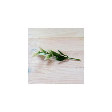  Zöld leveles ágacska. Hossza: 10 cm, levél mérete: 12x25 mm dekorációs kellék