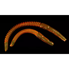 ZozoBaits RibWorm 85 - Cameleon Motor Oil Cosmos Pearl - 15db csali