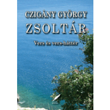 Zsoltár regény