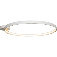 Zuma Line Circle LED ZU-LA0769 mennyezeti lámpa világítás